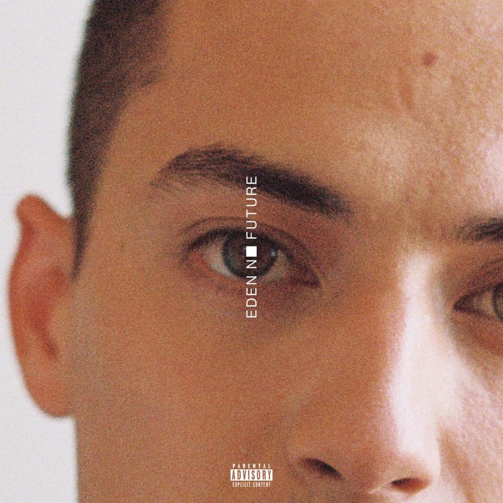 Cover image for no future