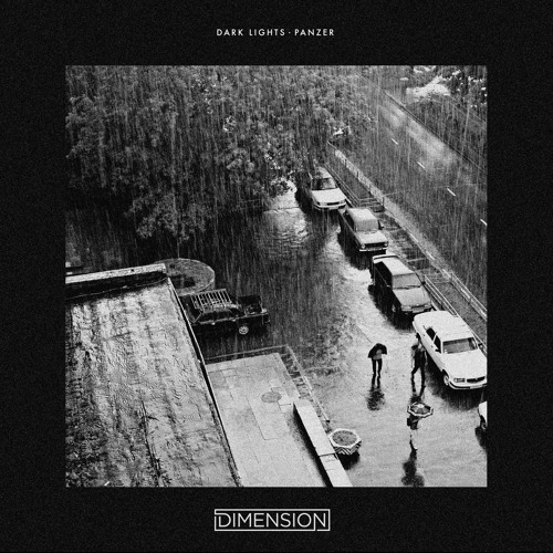 Cover image for Dark Lights / Panzer