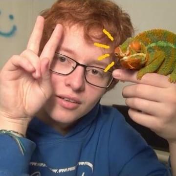 Album cover art for "We found two dead swans - Teen Suicide" by Cavetown