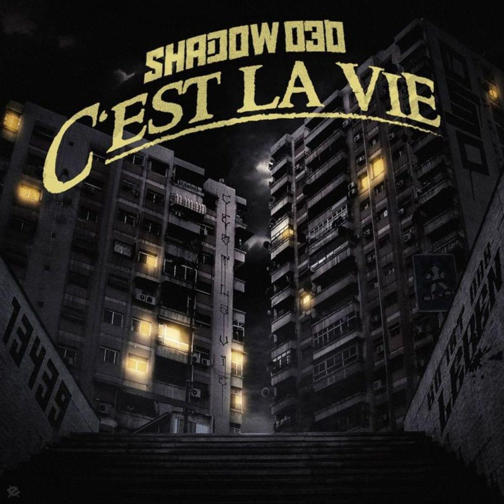 Album cover art for "C’est la vie" by Shadow030