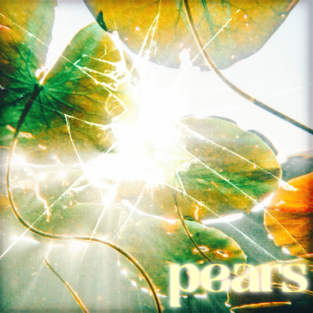Album cover art for "Pears" by NOW That’s What I Call Music!