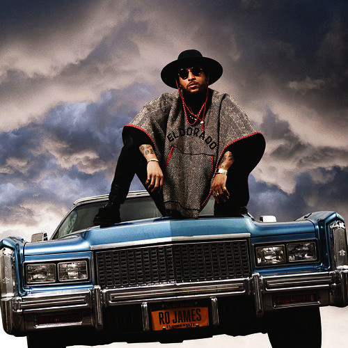 Album cover art for "Permission" by Ro James