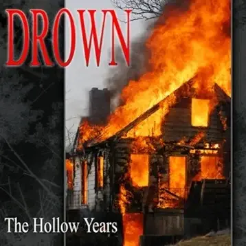 Cover image for The Hollow Years