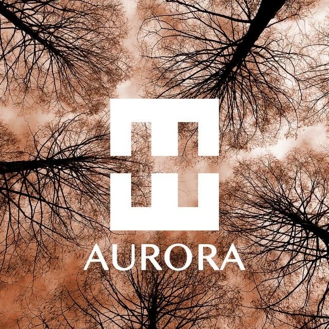 Cover image for AURORA
