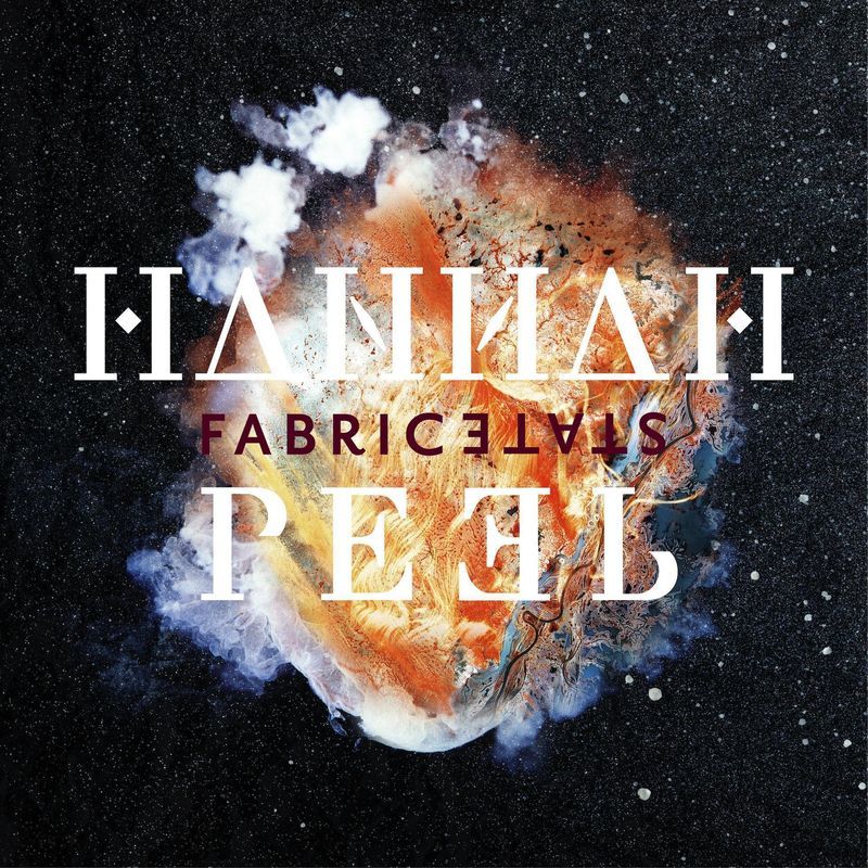 Cover image for Fabricstate