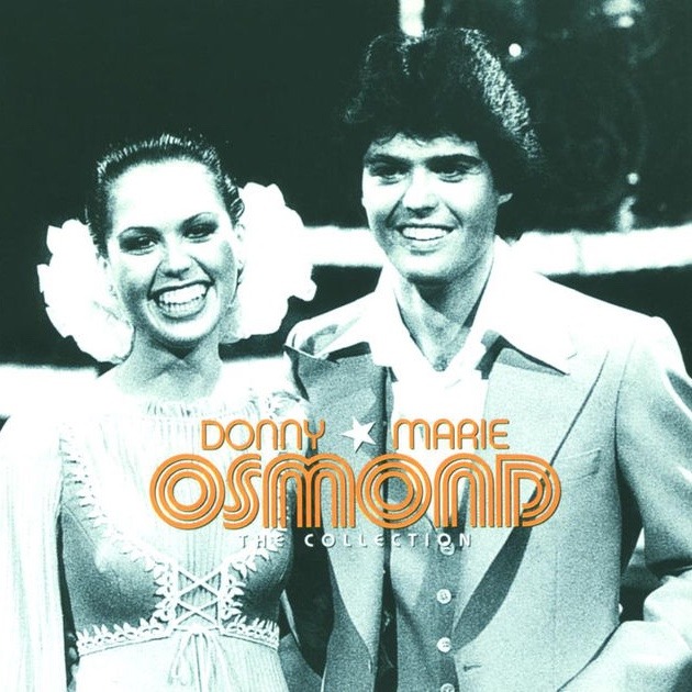 Cover image for The Collection