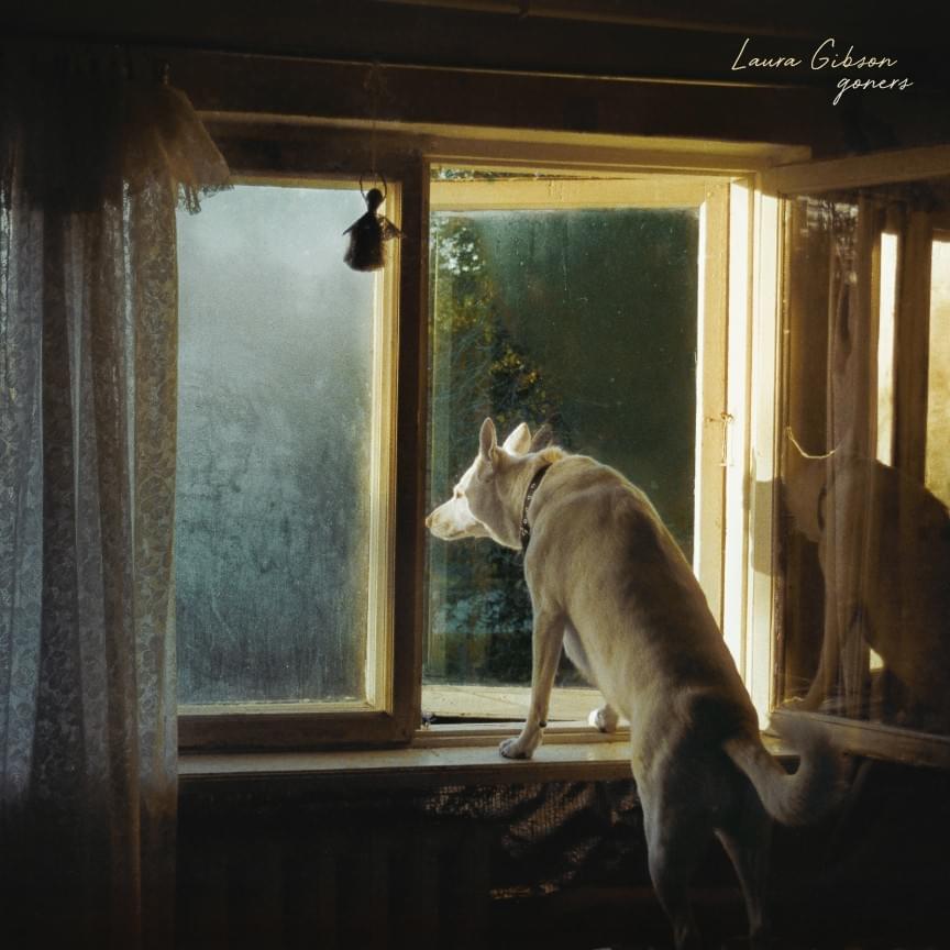 Slow Joke Grin by Laura Gibson