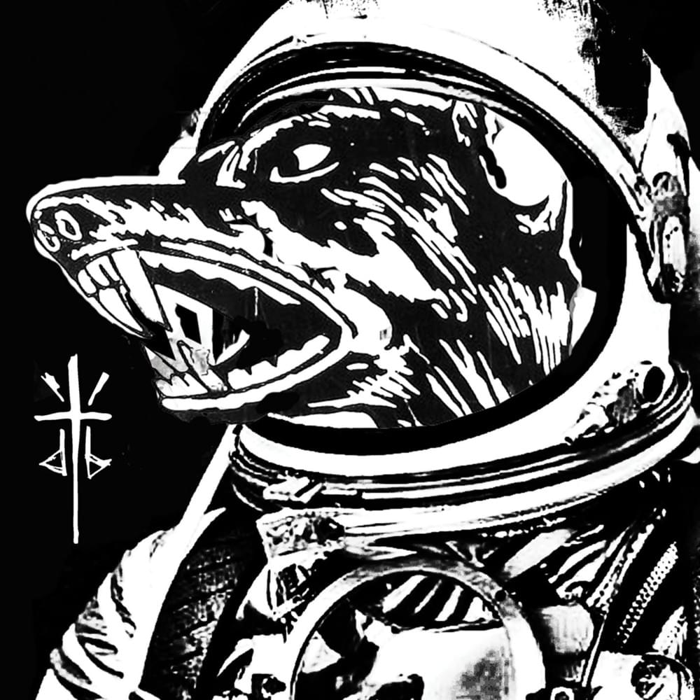 Cover image for Next Order / Middle Finger