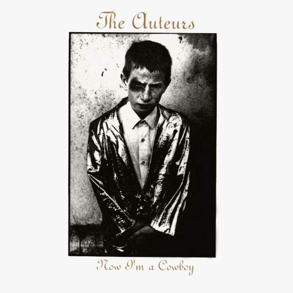 Upper Classes by The Auteurs