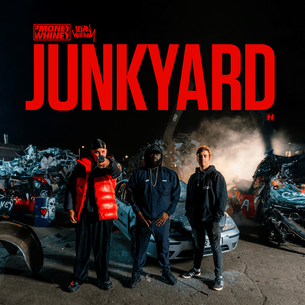 Album cover art for "Junkyard" by P Money
