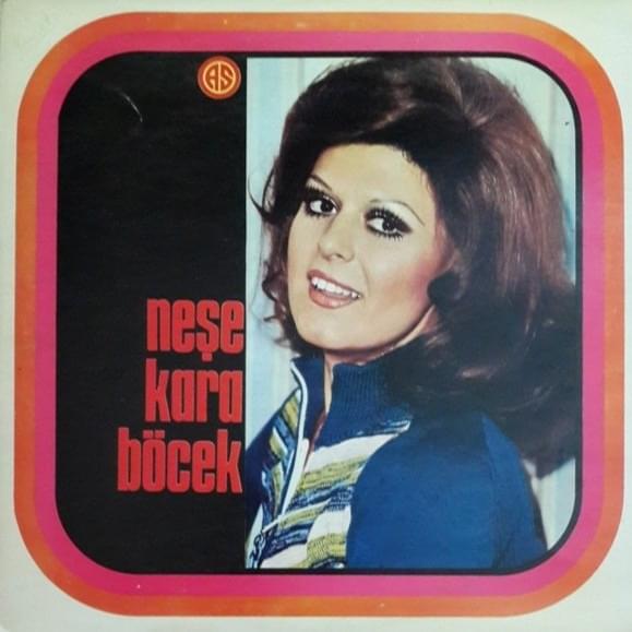 Cover image for Geri Dönülmez Yoldayım