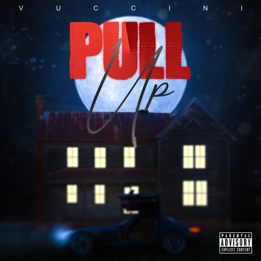 Album cover art for "Pull Up" by Vuccini Louis