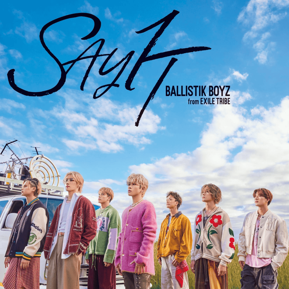 Cover image for SAY IT