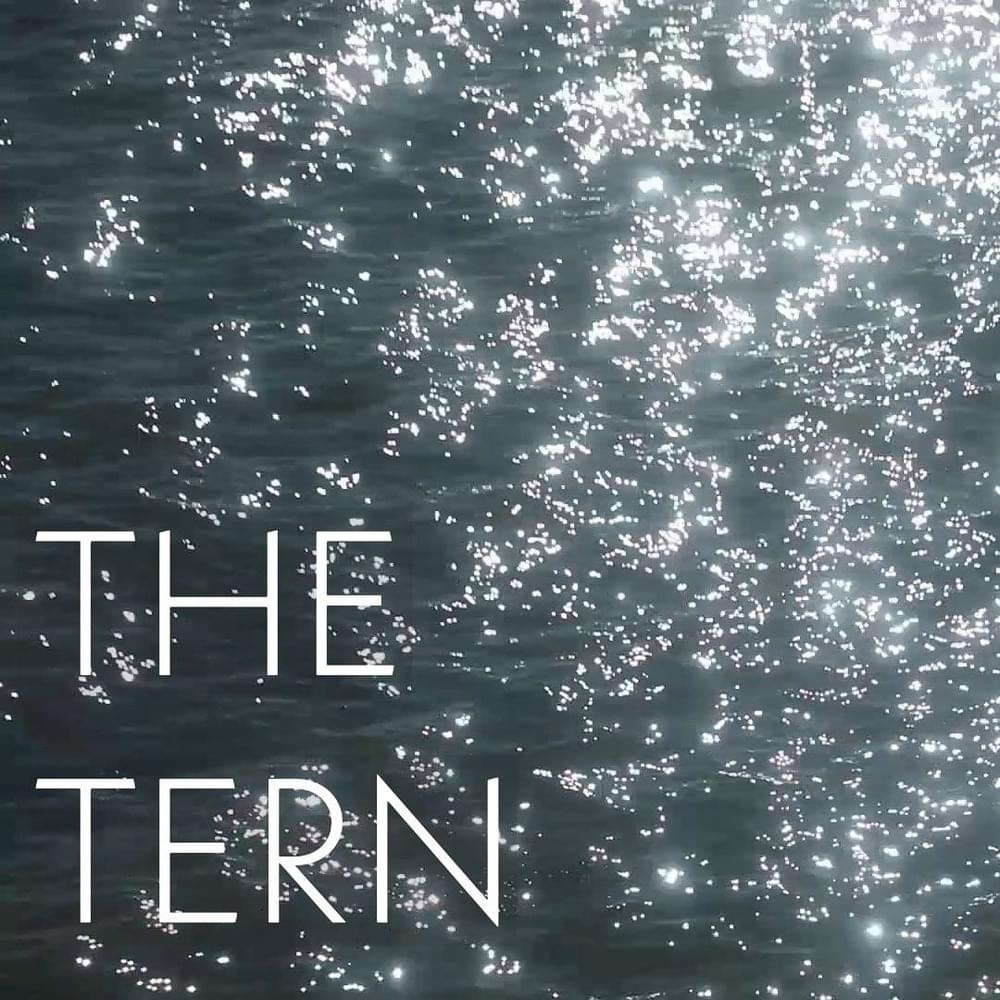Album cover art for "The Tern" by Beirut