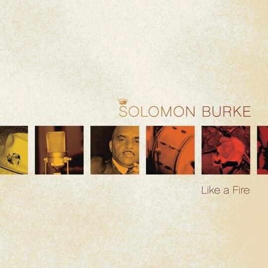 Cover image for Like a Fire