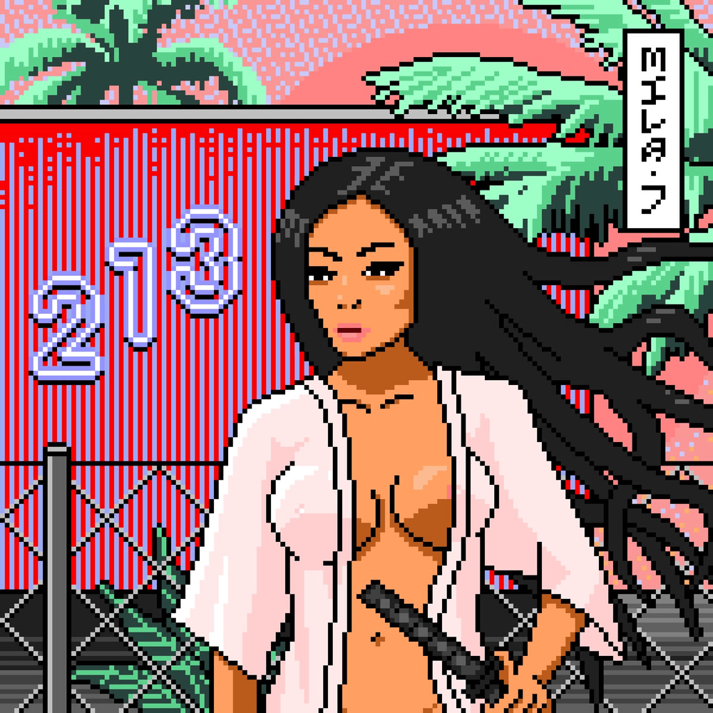 Cover image for 213