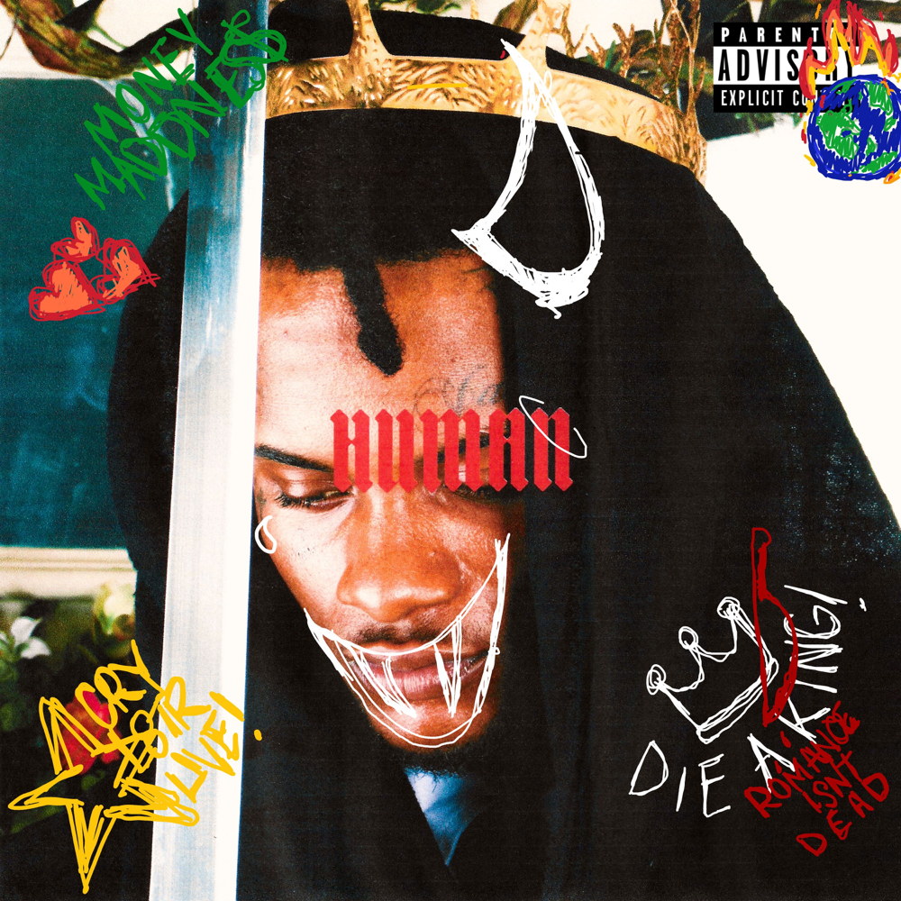 Cover image for Human