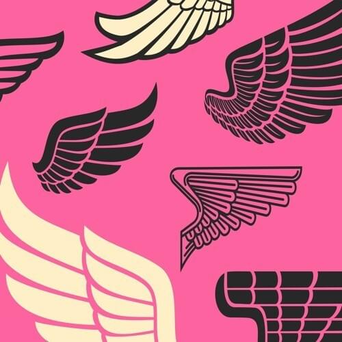 Cover image for ANGELS