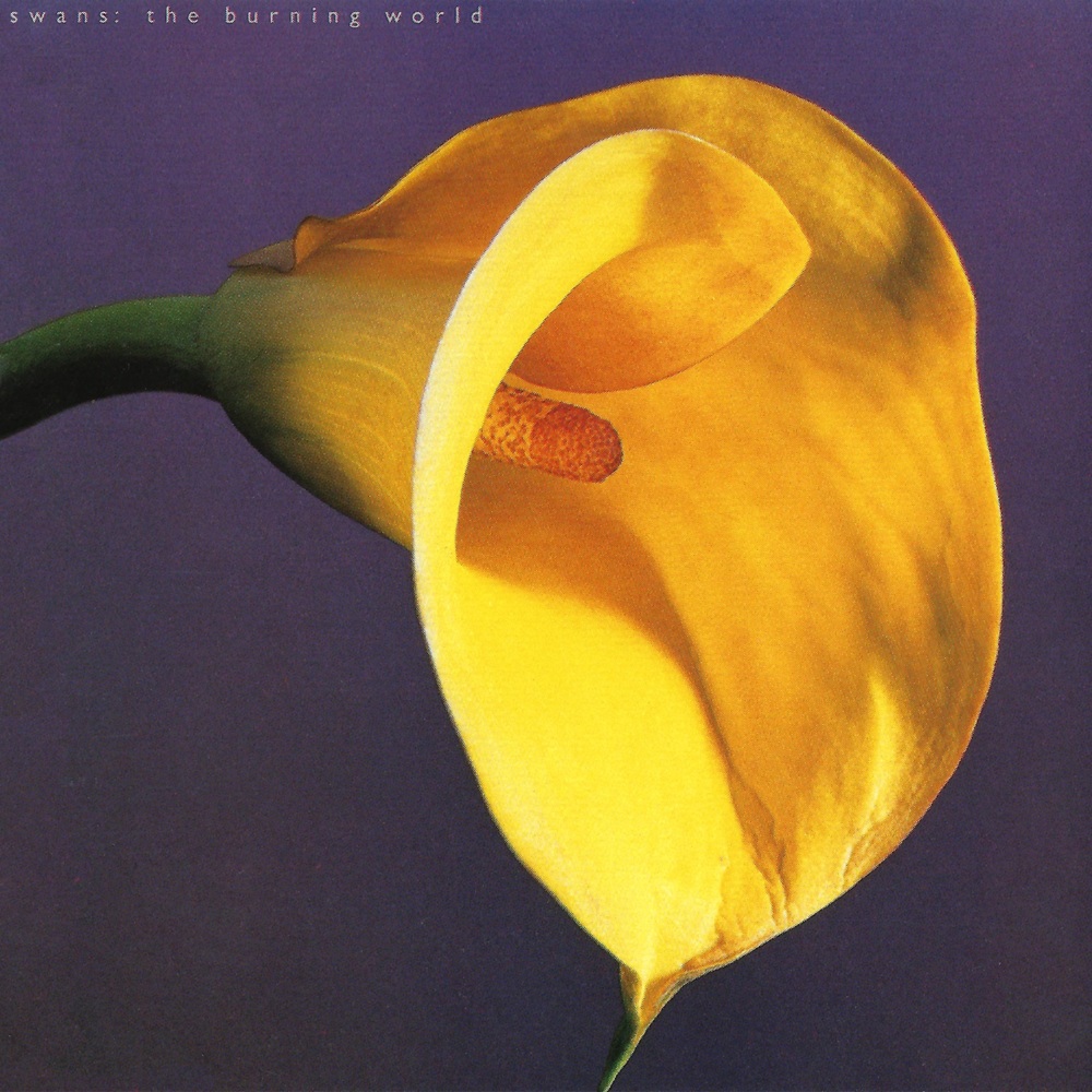 Cover image for The Burning World