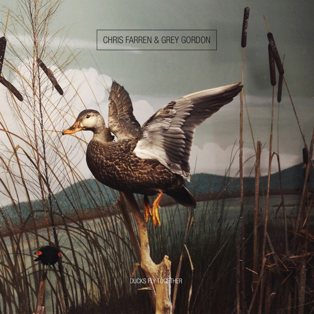 Cover image for Ducks Fly Together