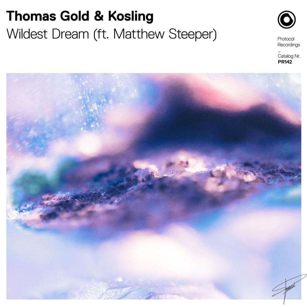 Wildest Dream by Thomas Gold