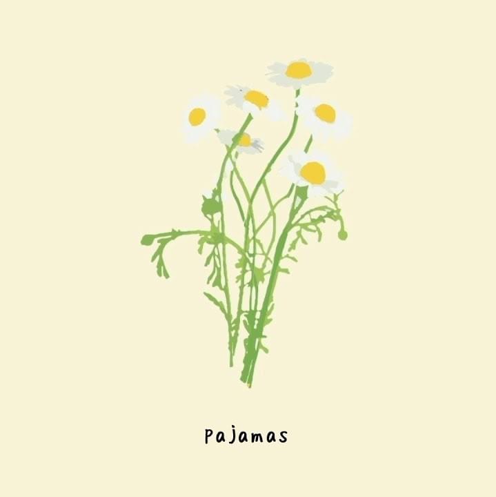 Album cover art for "pajamas" by gnash