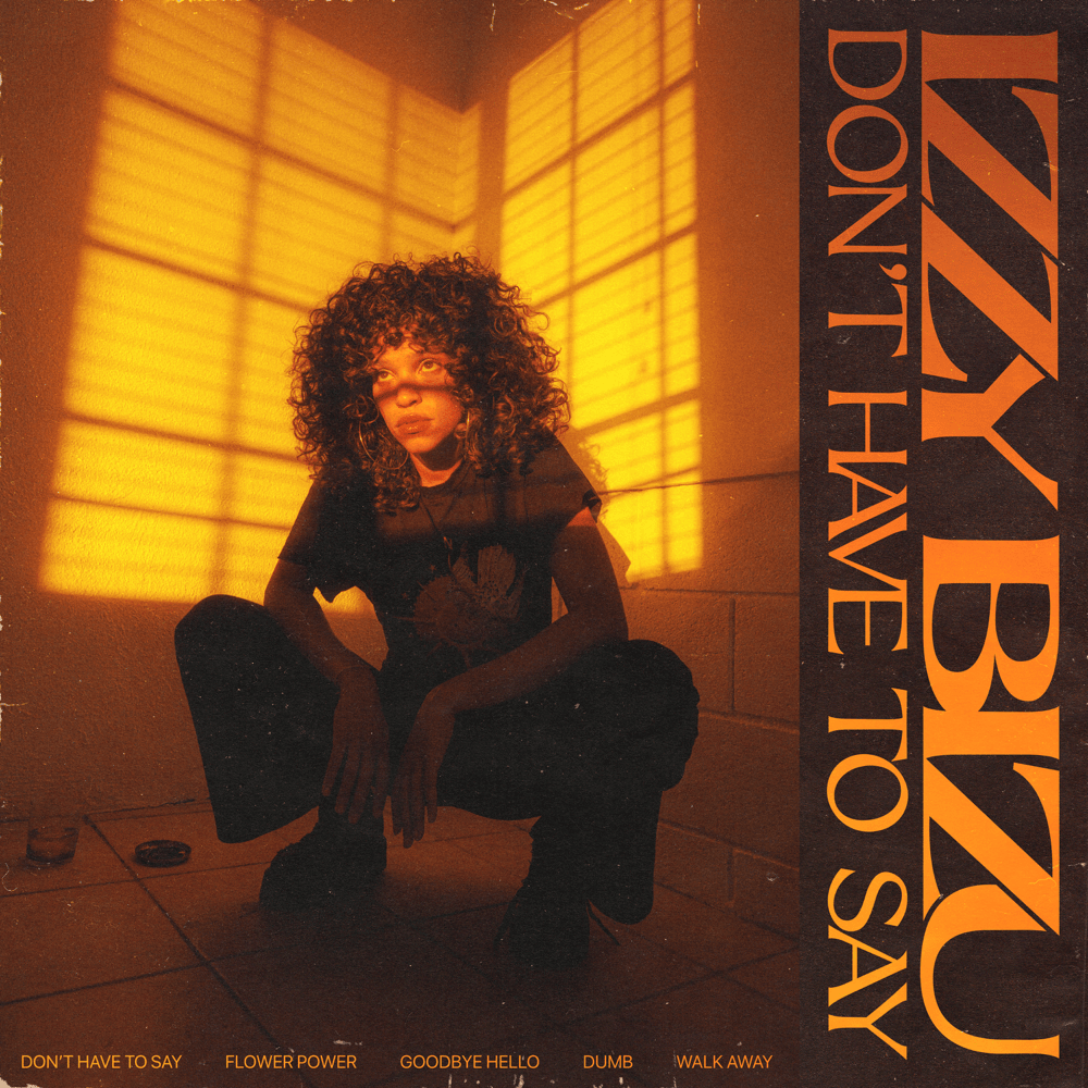 Cover image for Don’t Have to Say