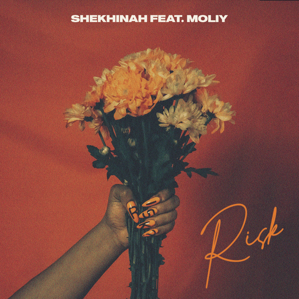 Album cover art for "Risk" by Shekhinah & MOLIY