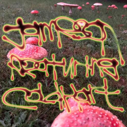 Album cover art for "Jameson" by fish narc & Cold Hart