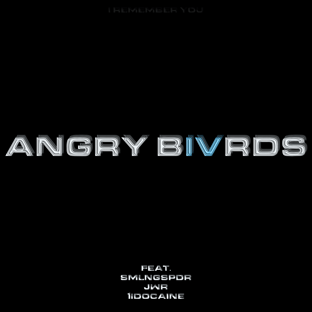 Cover image for ANGRY BIVRDS