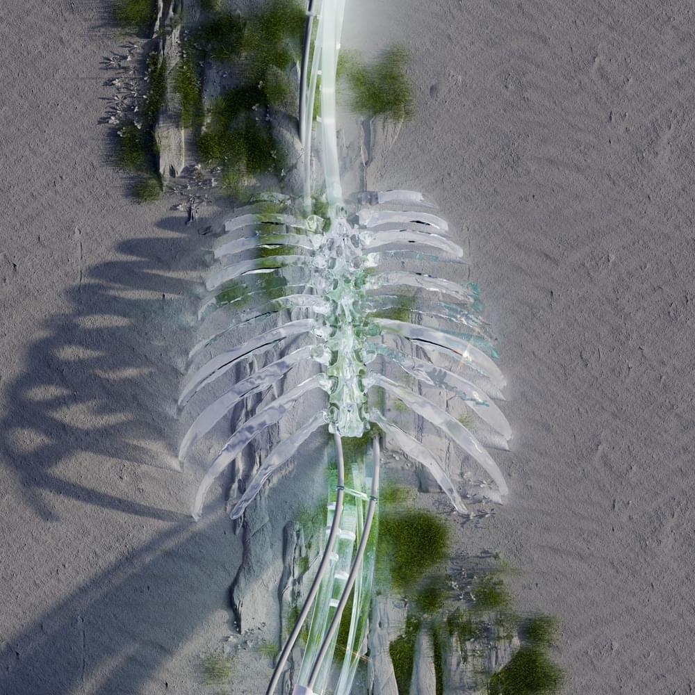Album cover art for "Cruce de Caminos" by Mda
