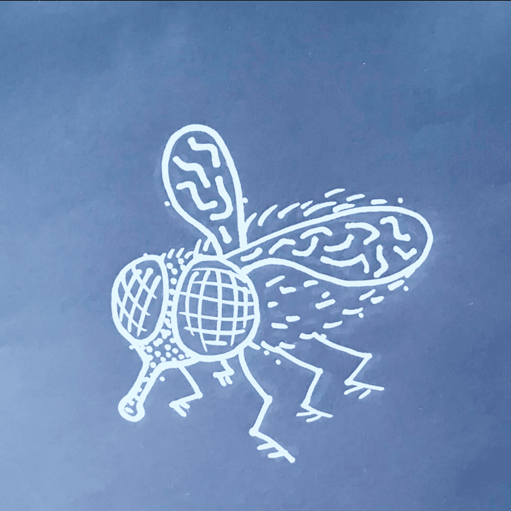 Album cover art for "Flies" by Nervus
