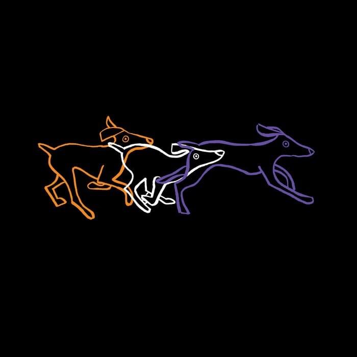 Cover image for Hot Dogs