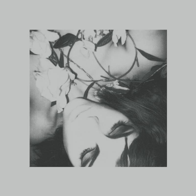 Cover image for Sub Rosa