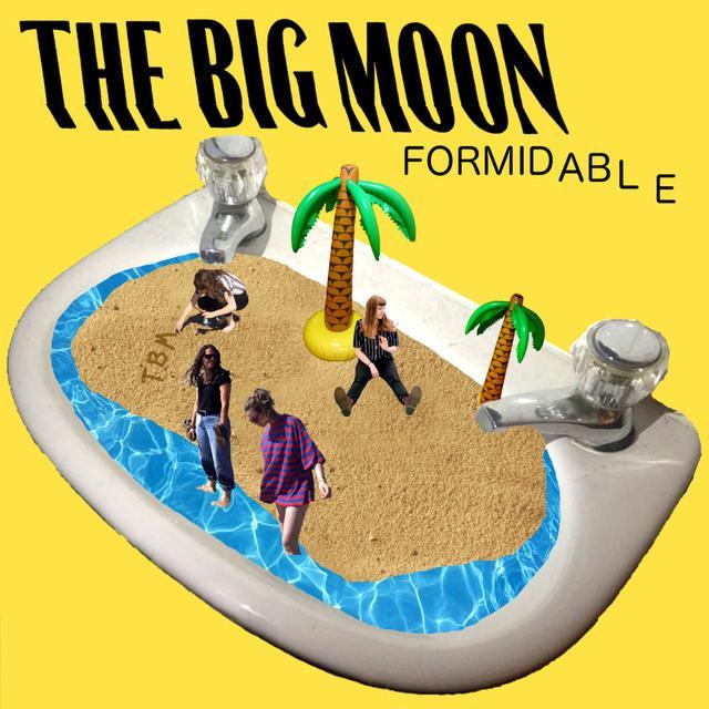 Cover image for Formidable