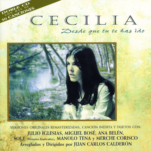 Cover image for Desde Que Tú Te Has Ido