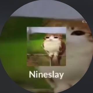 Cover image for Nineslay