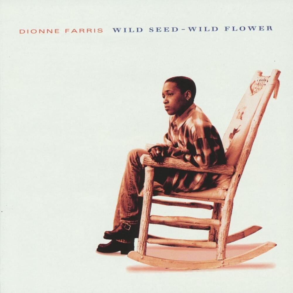 Blackbird by Dionne Farris