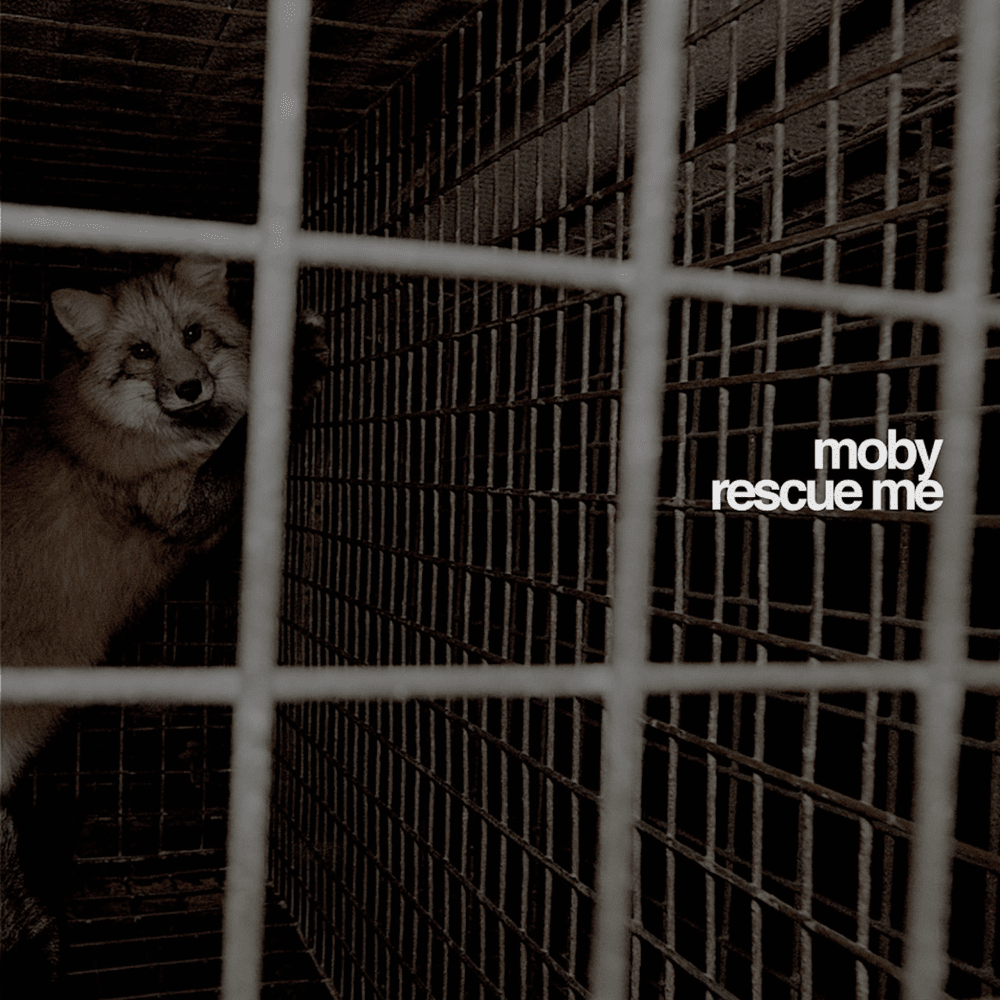 Cover image for Rescue Me