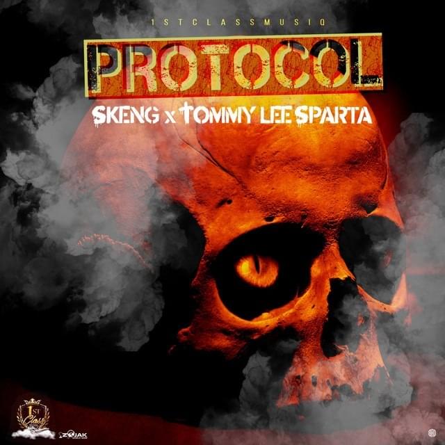 Cover image for Protocol