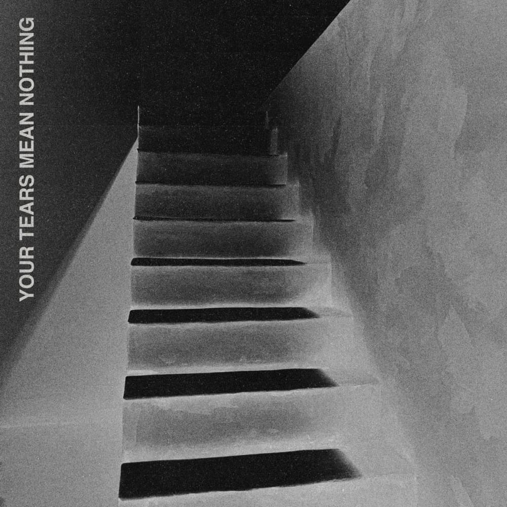 Album cover art for "Your Tears Mean Nothing" by Julien-K