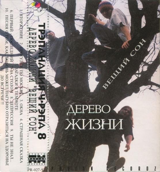 Cover image for Вещий сон (Трэпанация Ч-Рэпа 8) (Prophetic Dream)