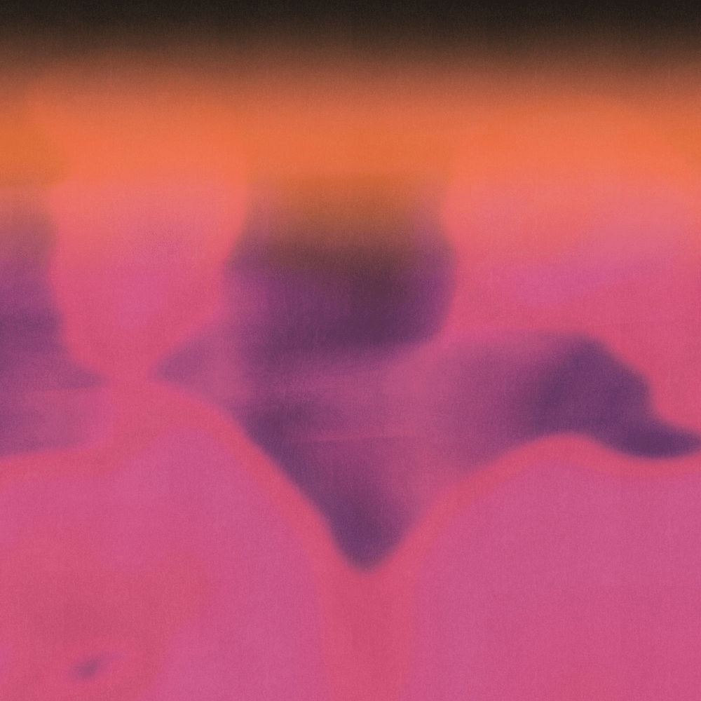 Cover image for EUPHORIA (EP)