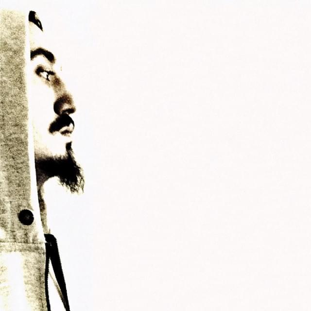 Album cover art for "Piç" by Rota