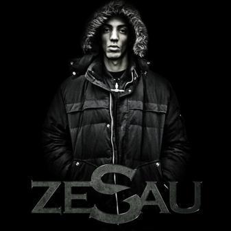 Cover image for Zesau