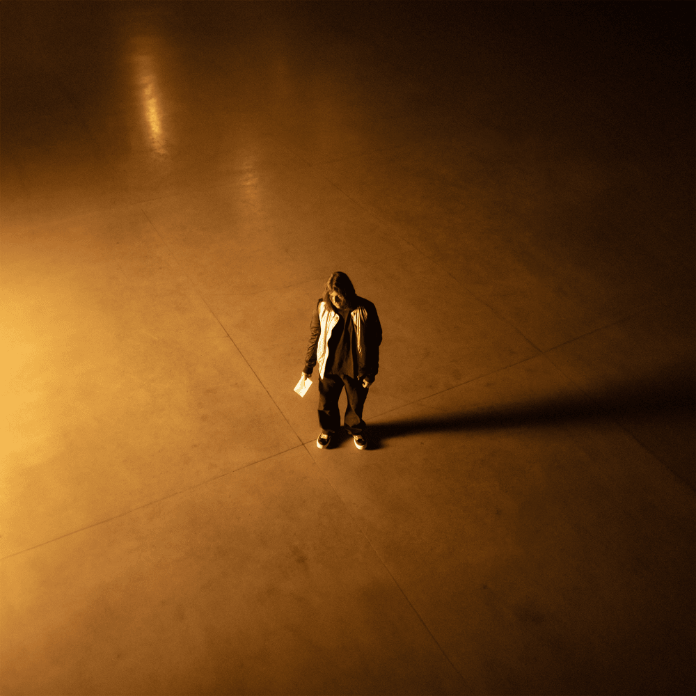 Cover image for Ai grijă