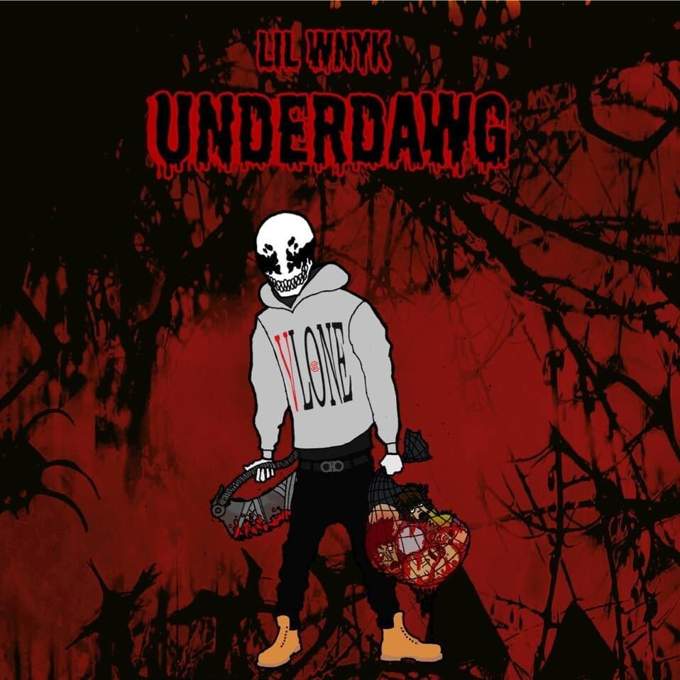 91 (BIGGIE TRIBUTE) by LIL WNYK