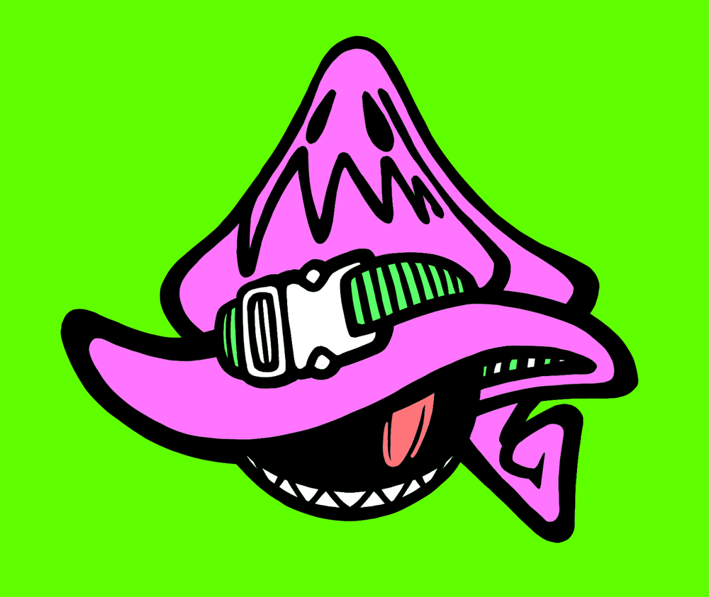 Cover image for Mages Guild
