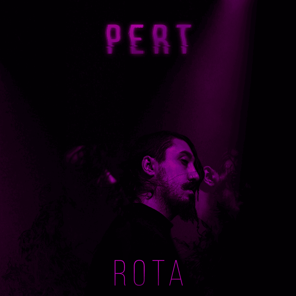 Cover image for Pert