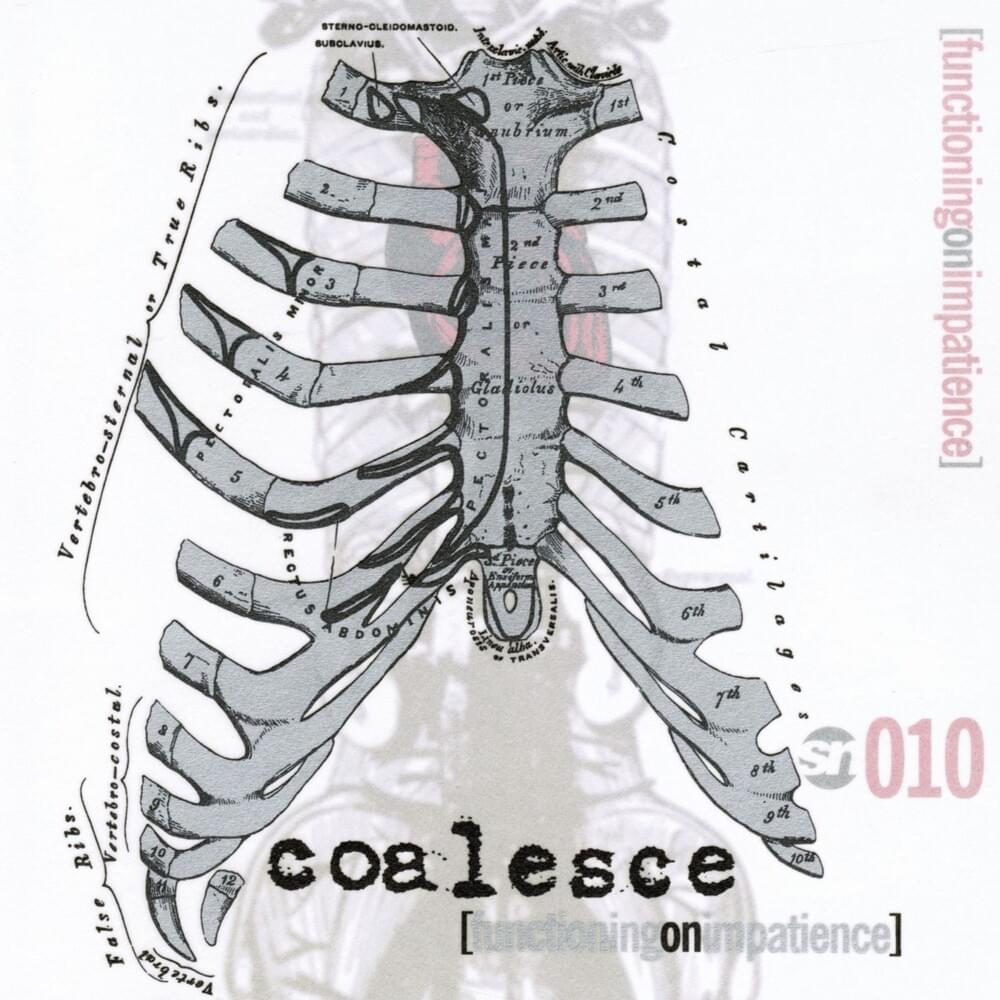 You Can’t Kill Us All by Coalesce